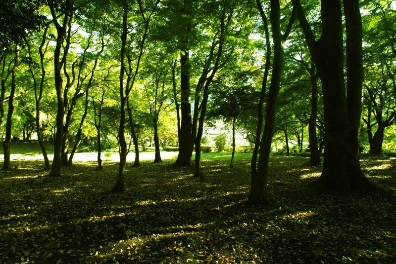 Baien Otel Oita Dış mekan fotoğraf