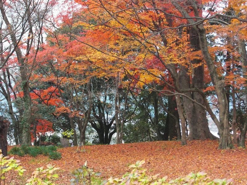 Baien Otel Oita Dış mekan fotoğraf